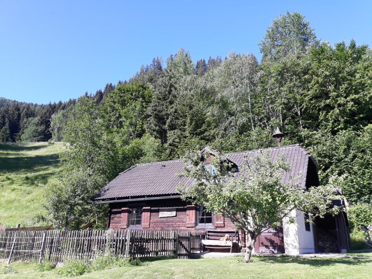 Umundumhuette Villa Katsch an der Mur Buitenkant foto
