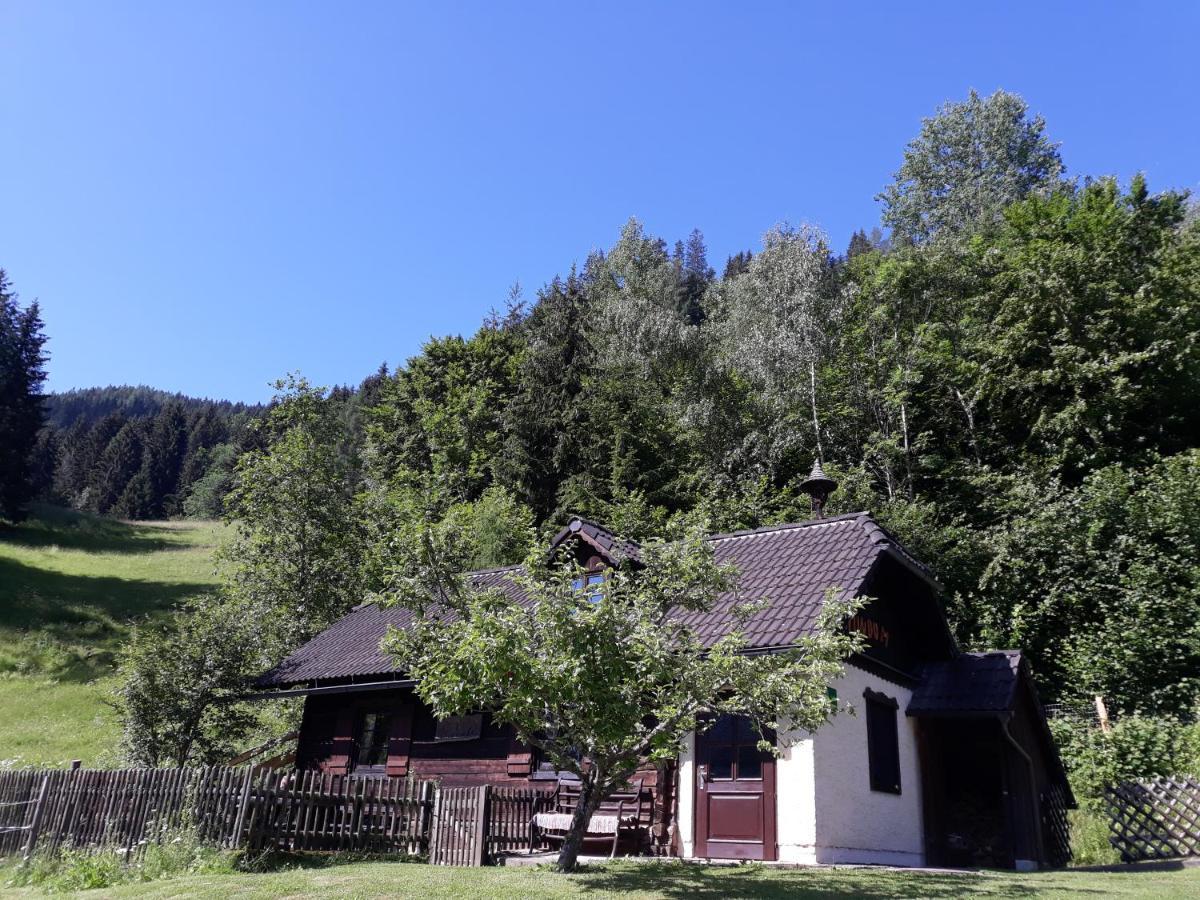 Umundumhuette Villa Katsch an der Mur Buitenkant foto