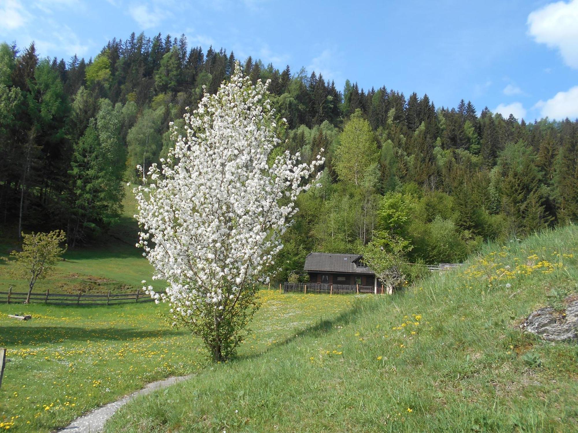 Umundumhuette Villa Katsch an der Mur Buitenkant foto