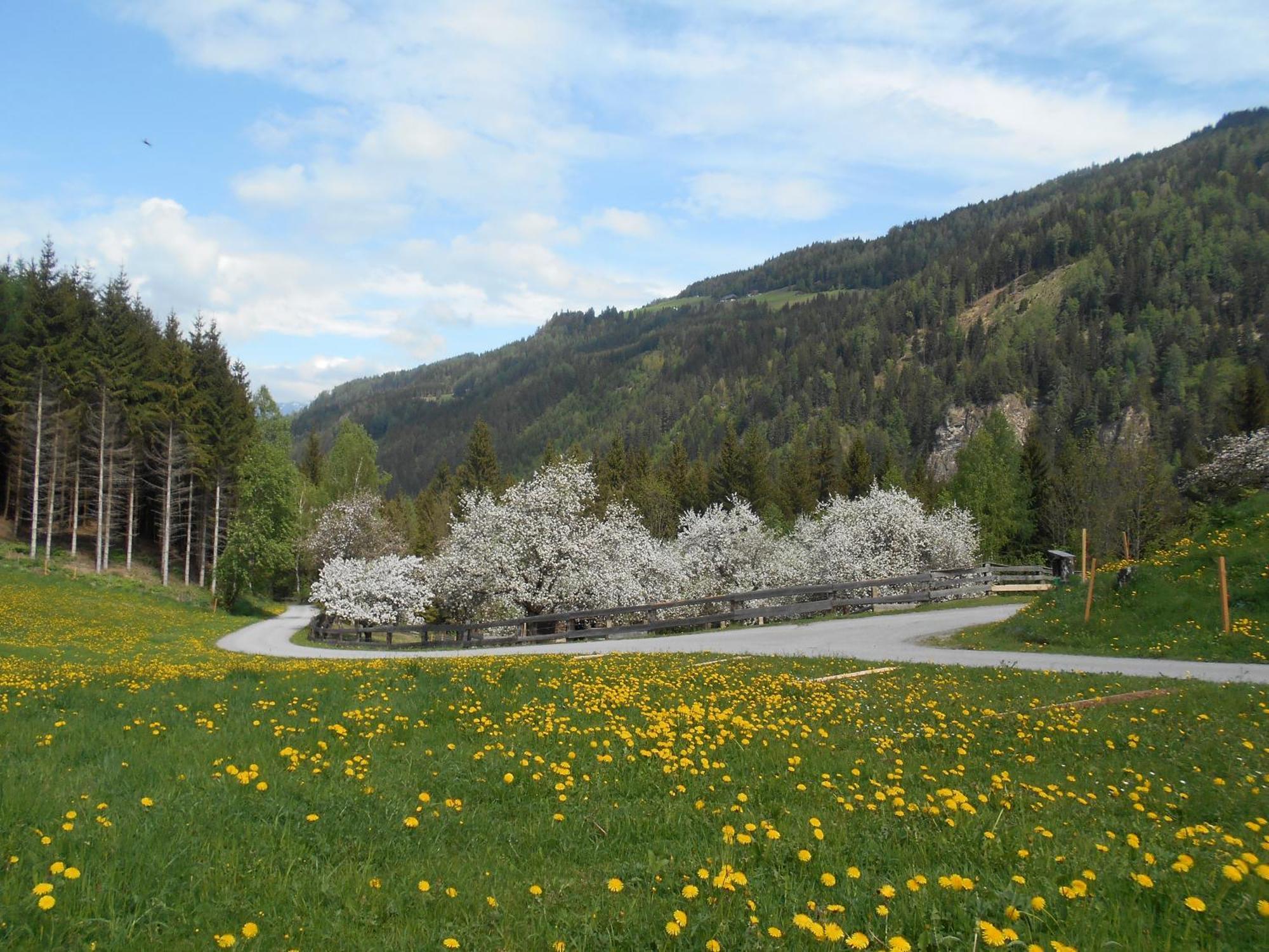 Umundumhuette Villa Katsch an der Mur Buitenkant foto