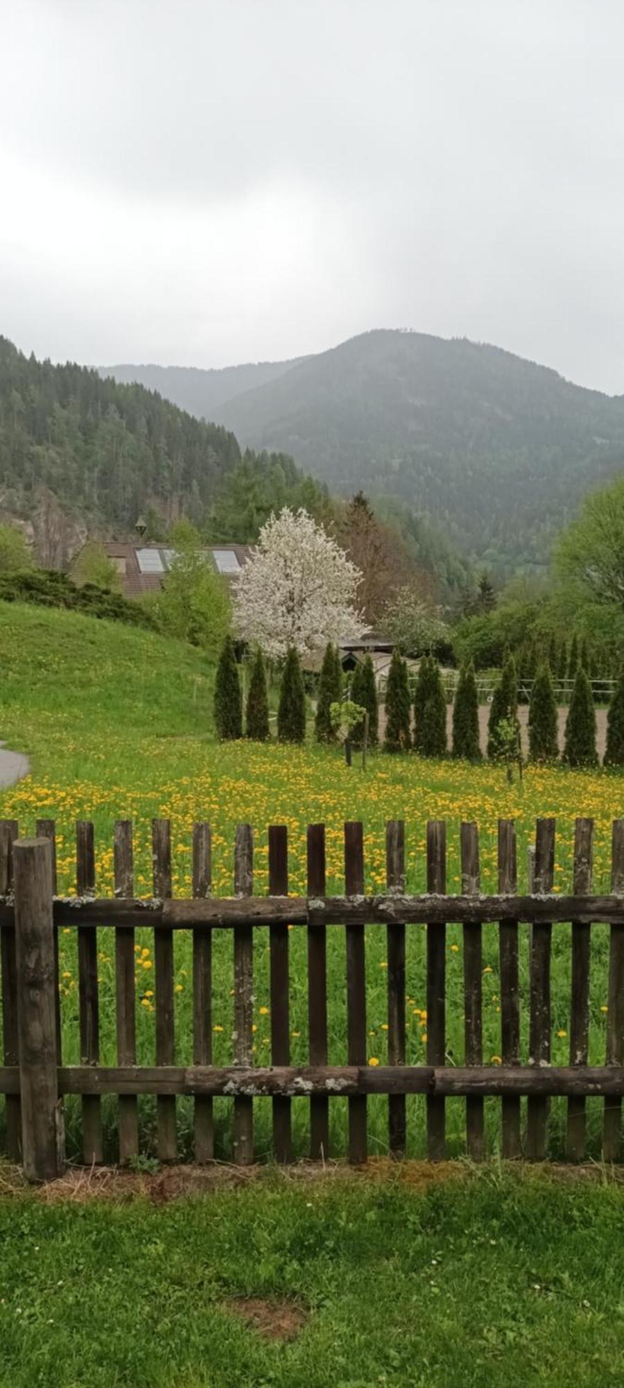 Umundumhuette Villa Katsch an der Mur Buitenkant foto