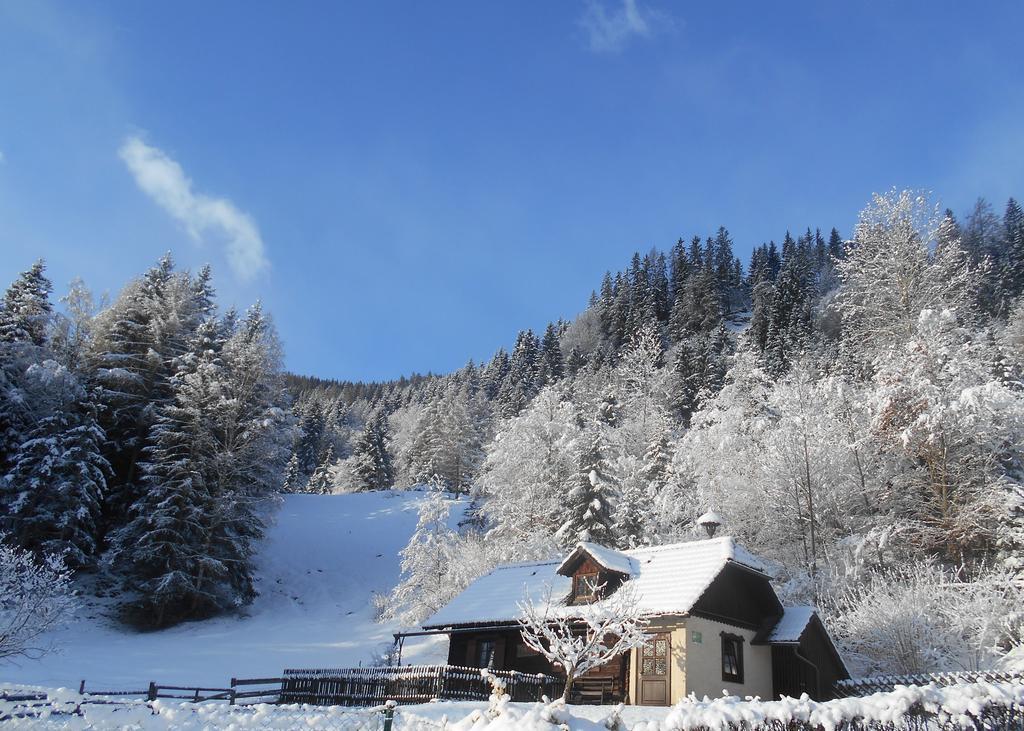 Umundumhuette Villa Katsch an der Mur Buitenkant foto