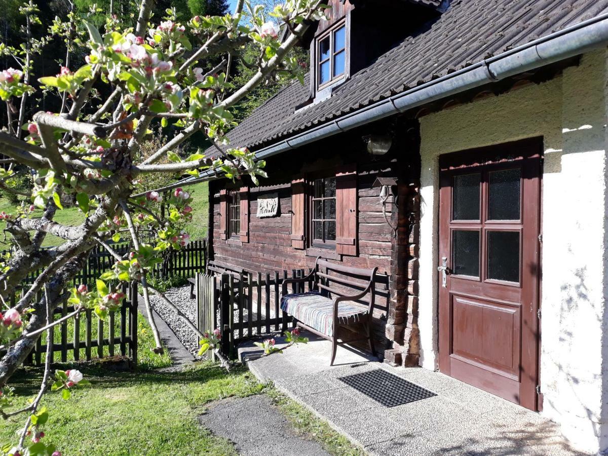 Umundumhuette Villa Katsch an der Mur Buitenkant foto