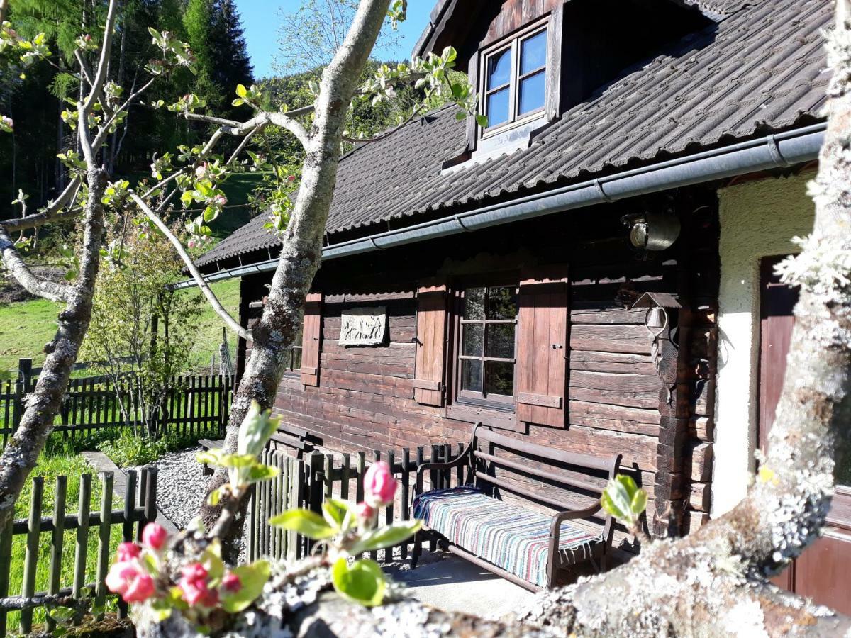 Umundumhuette Villa Katsch an der Mur Buitenkant foto